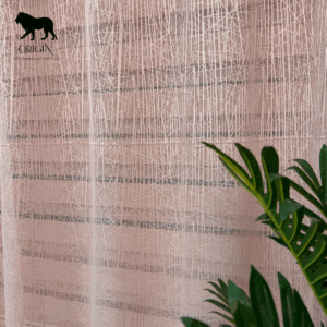 تل راشيل _ روز كشميري